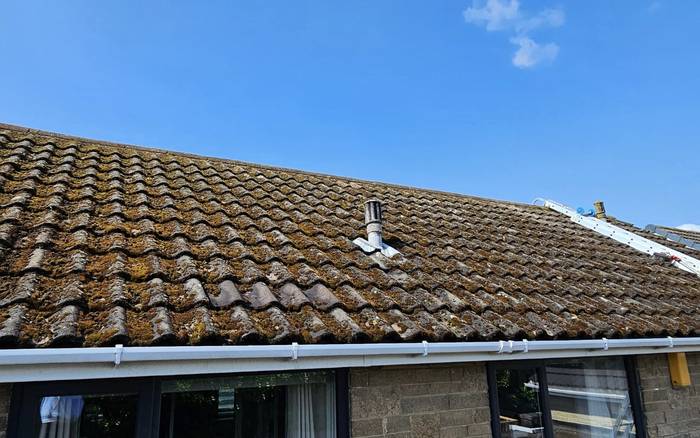 A bungalow roof thick with orange and green moss before cleaning
