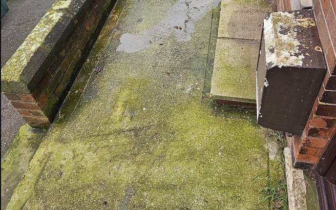 Concrete forecourt covered in thick green algae before pressure washing
