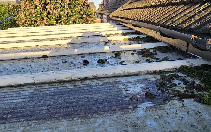 Moss and debris built up in the valleys and box gutter of a conservatory roof