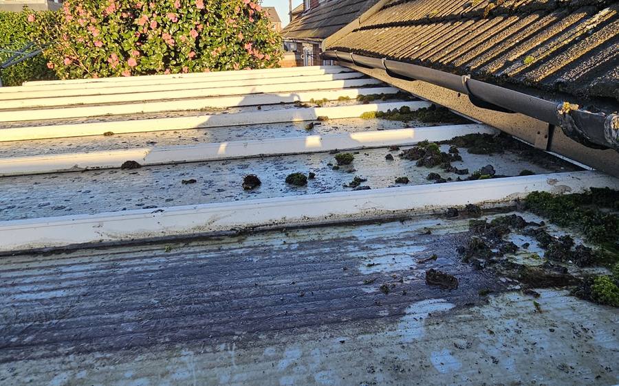 Moss and debris built up in the valleys and box gutter of a conservatory roof