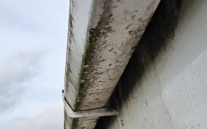 Fascia and soffit streaked with black staining and green algae before cleaning