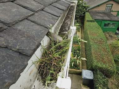 A blocked gutter with grass growing out of it