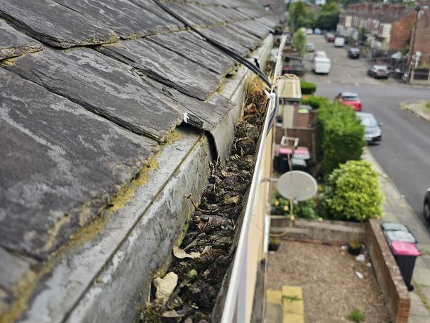 A gutter full of silt and debris above a street