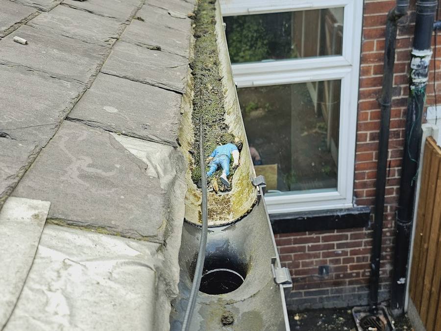 Moss being cleared out of a gutter by hand