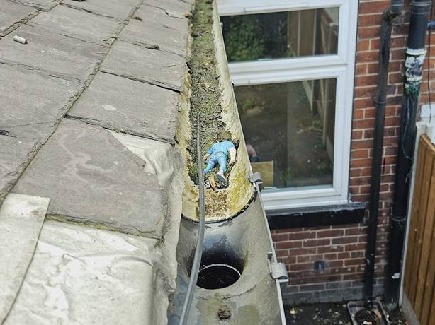 Moss being cleared out of a gutter by hand