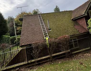 A tiled roof heavily covered in moss before cleaning
