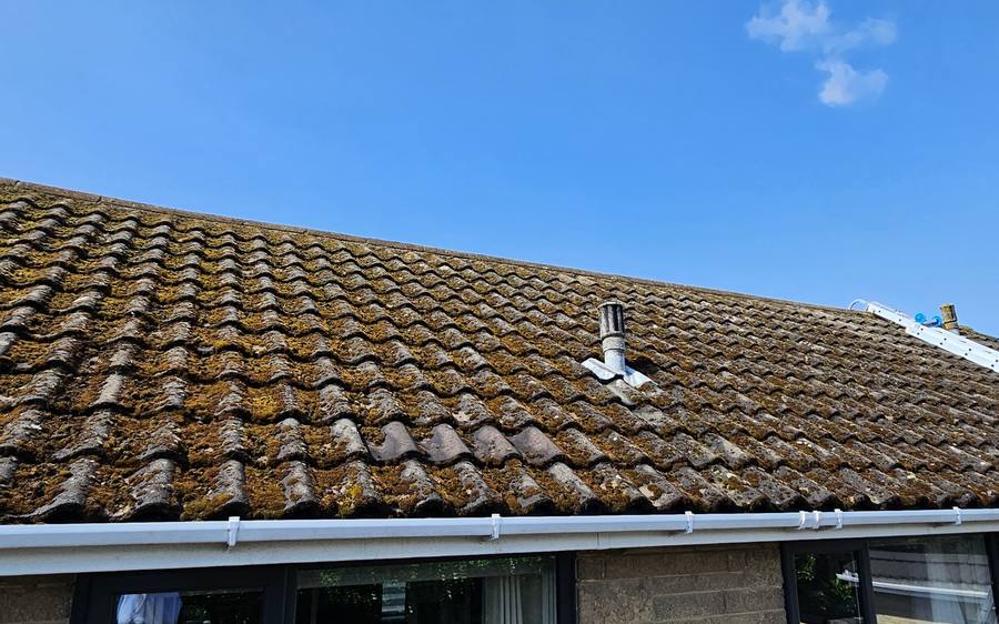 A pantile roof with moss growing thickly along every tile course