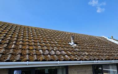 A pantile roof carrying heavy moss growth before cleaning