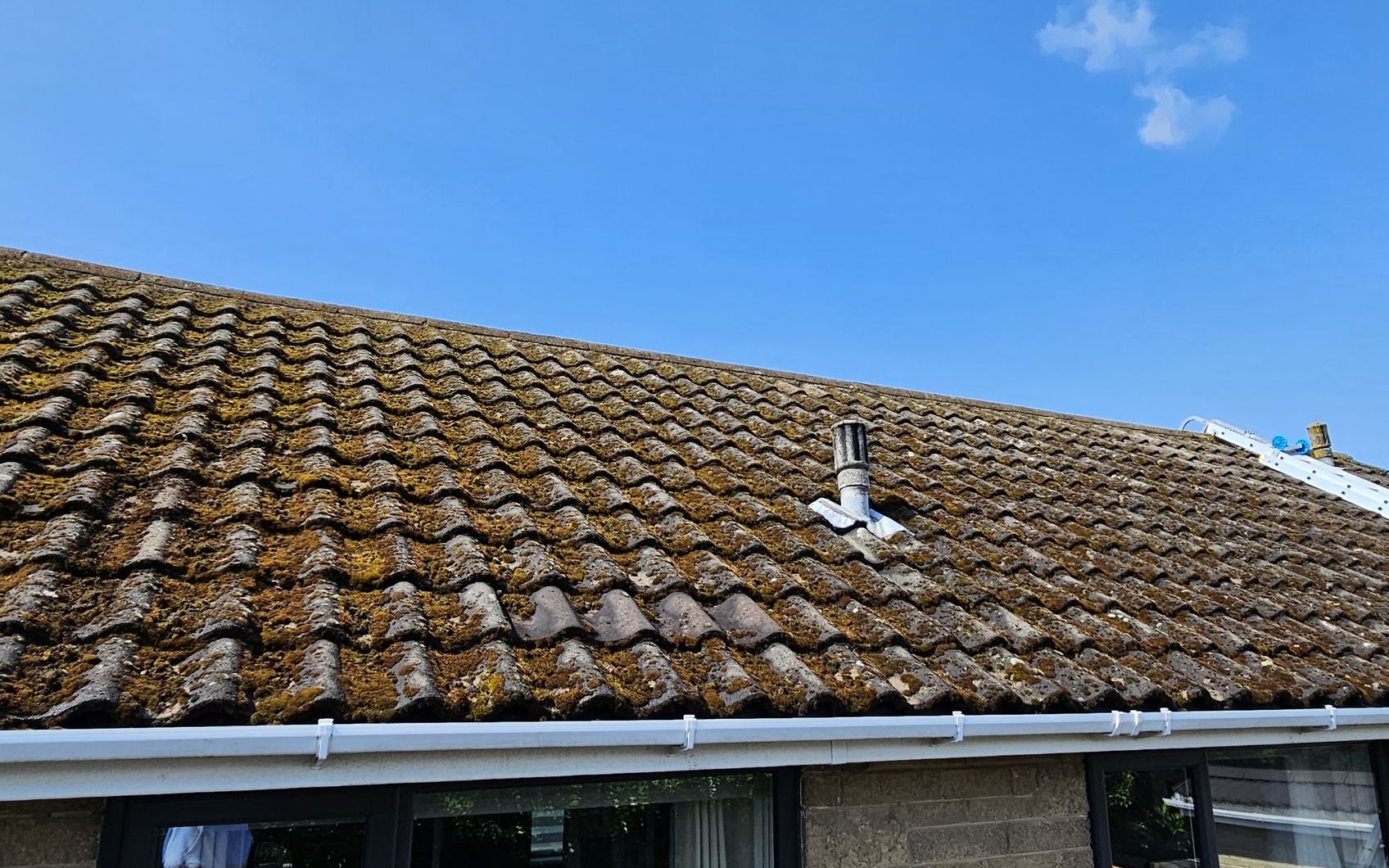 A pantile roof carrying heavy moss growth before cleaning
