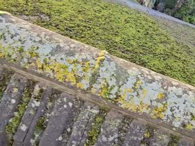 Thick moss growth across a roof slope and up to the ridge